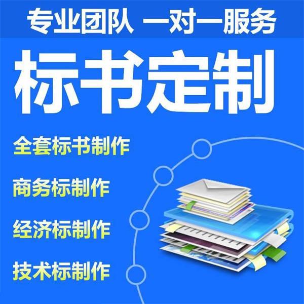 如何处理标书制作过程中出现的问题？